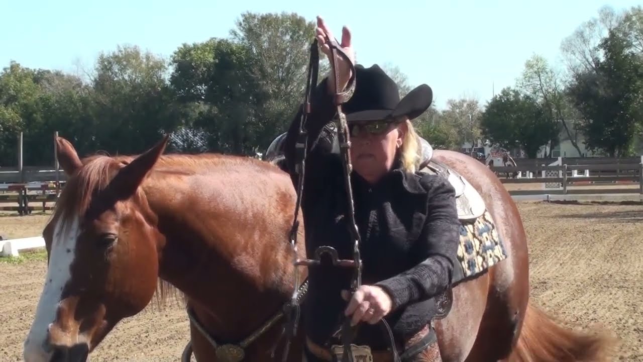Dana Bernetski INT1- A Introductory Level Test 1 Amateur 1