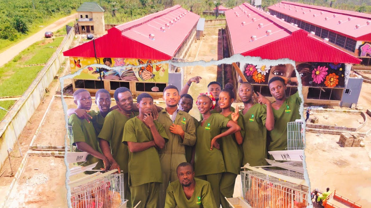 (Part 1) Growing From 10,000 To 45,000 Chickens In Just One Year! #poultryfarming