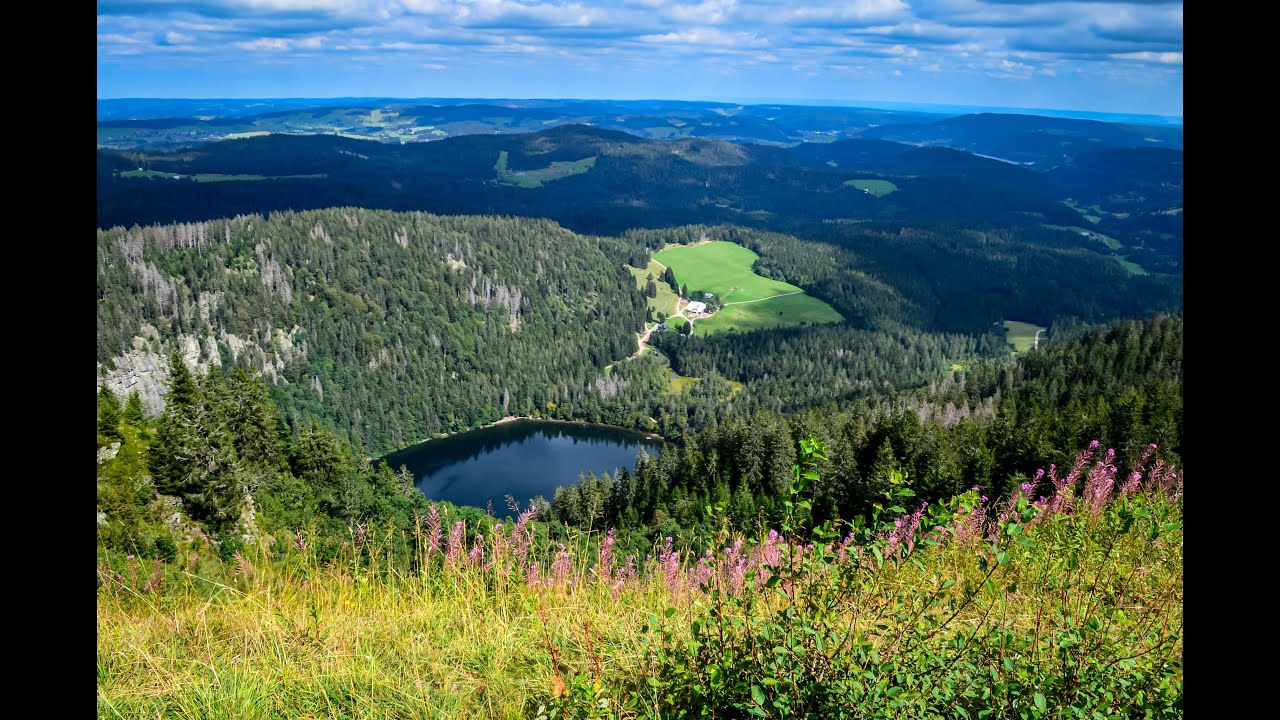 Feldberg - Germany | Top of the Black Forest | Schwarzwald | Feldsee | Virtual Tour