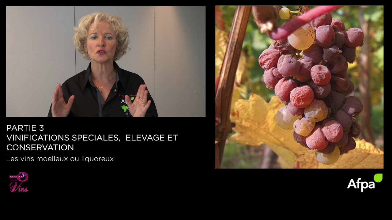 Les vins moelleux ou liquoreux