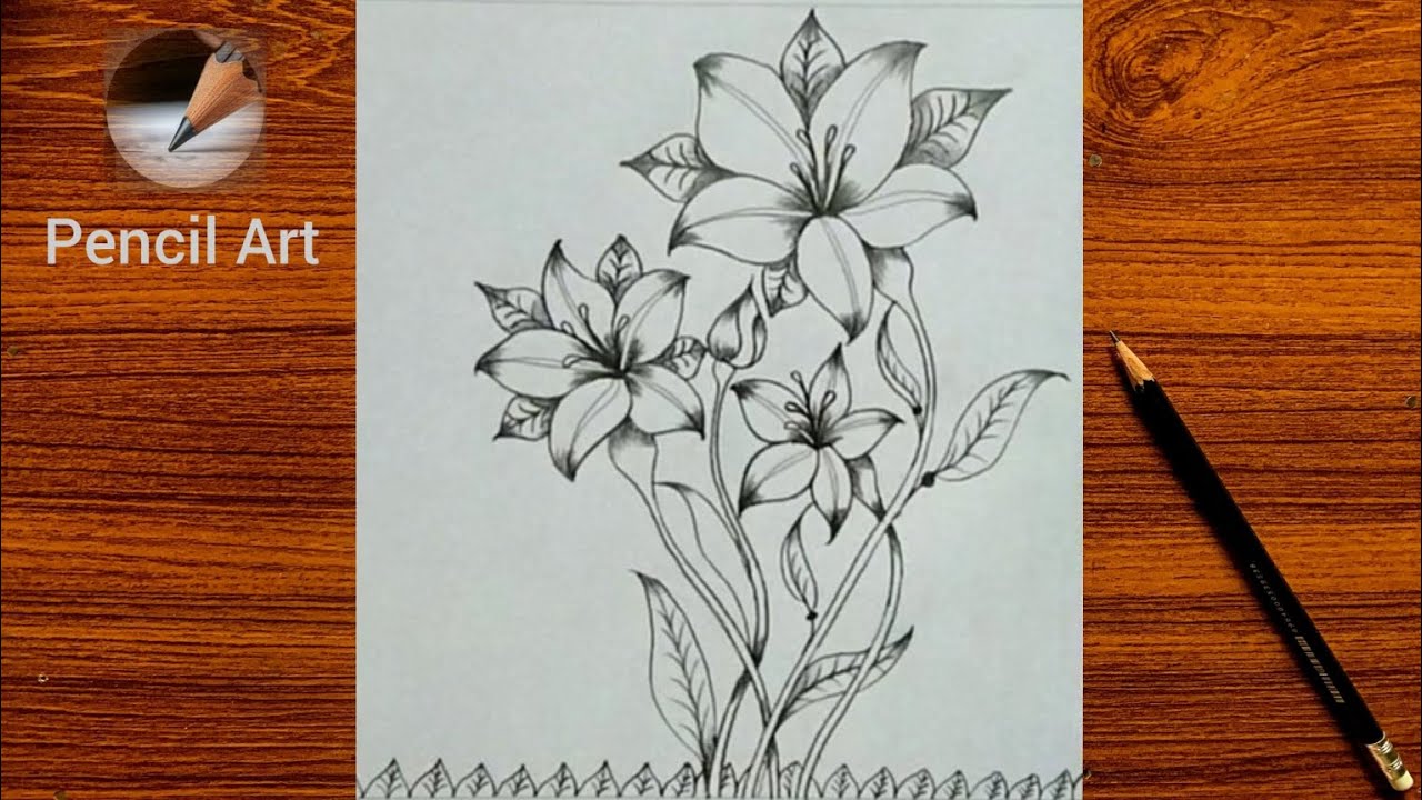 How to beautiful Lily flower draw for biginars// flowers drawing tutorial 