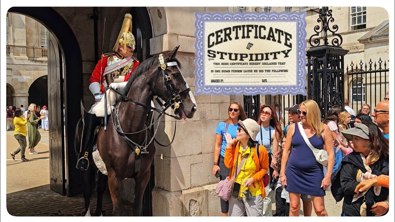 70 Times The Guard Ran Out of PATIENCE and Let Rip at Tourists!