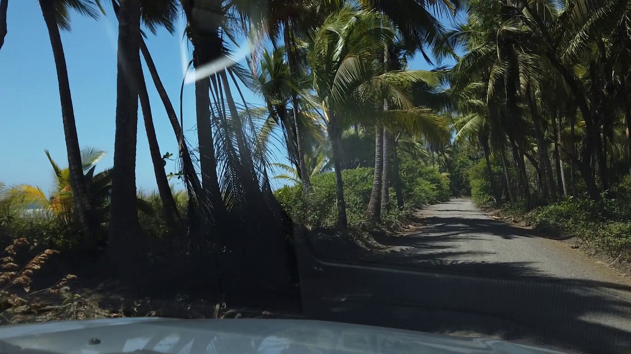 Palo Seco Parrita Puntarenas
