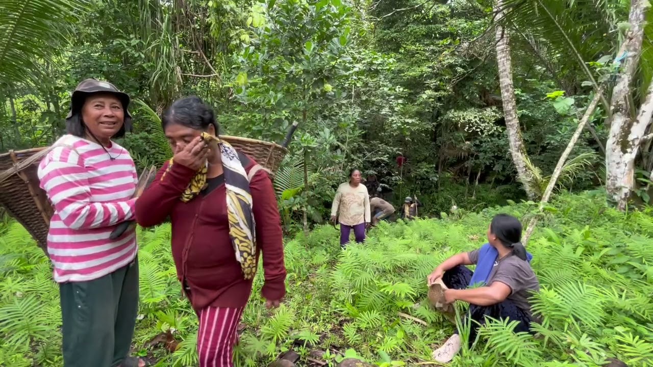 Perdana Team EKLESIA Paras kebun#MorotaiDaloha