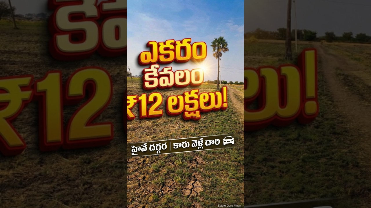 ఎకరం ₹ 12 లక్షలు మాత్రమే! #shorts  #viral #farming