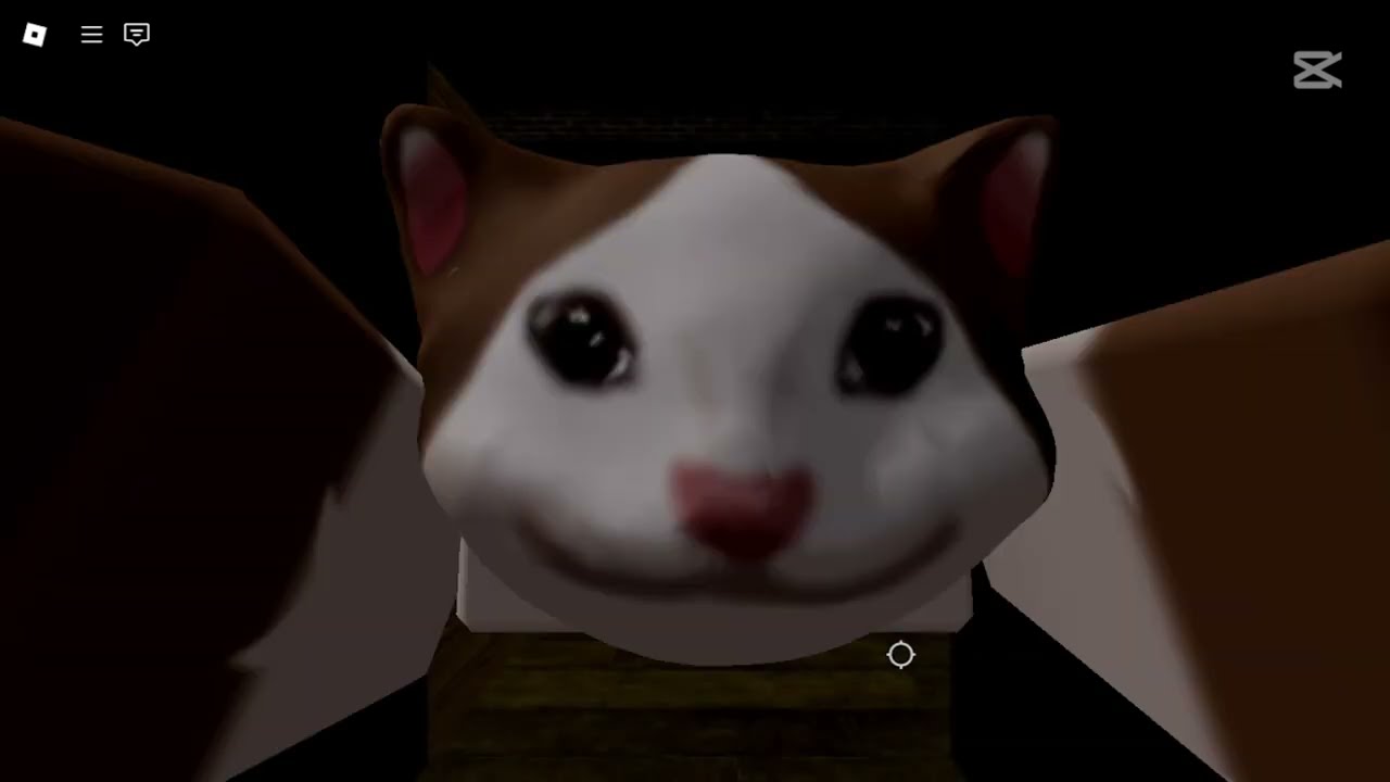O Propósito da Vida em ROBLOX