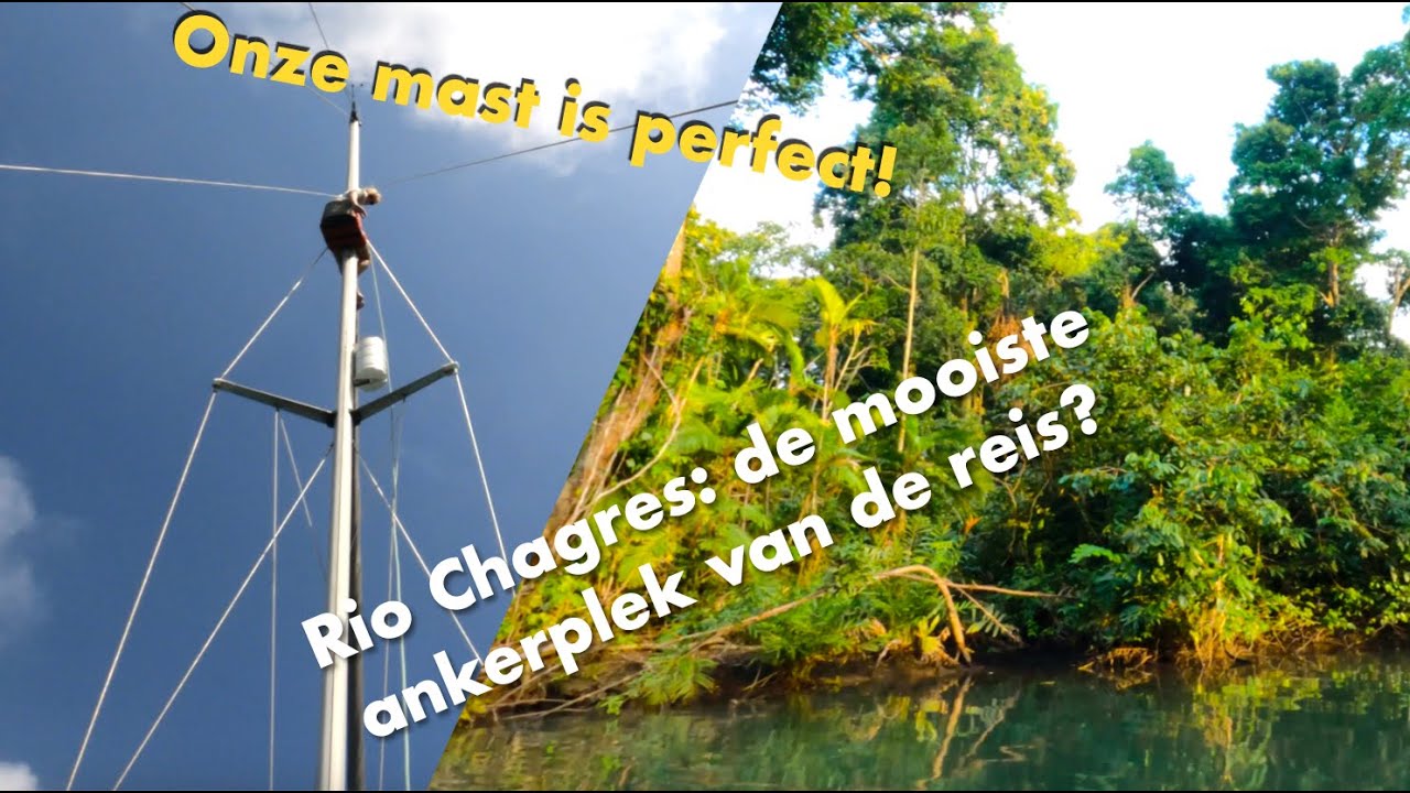 42. Aapjes kijken in Panama 🌴🐵 Een overvloed aan natuur! 🌳🇵🇦