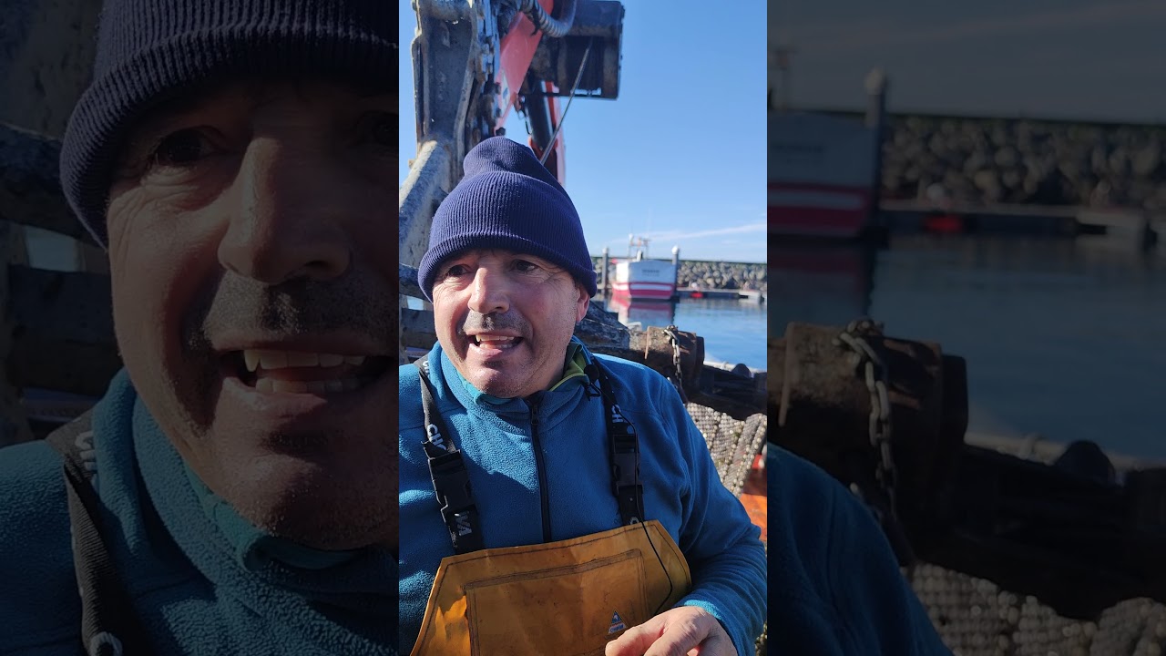 Barco mejillonero