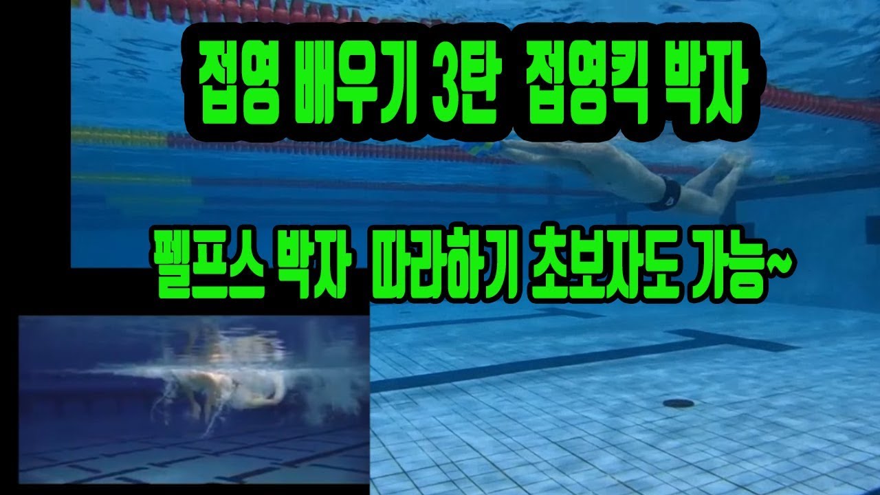 접영배우기3탄 킥박자 펠프스 킥박자 맞추기