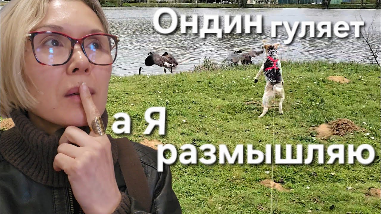 Мысли вслух о Жизни | Как Хорошо что есть Ютуб и Вы | Пока Цены не Выросли
