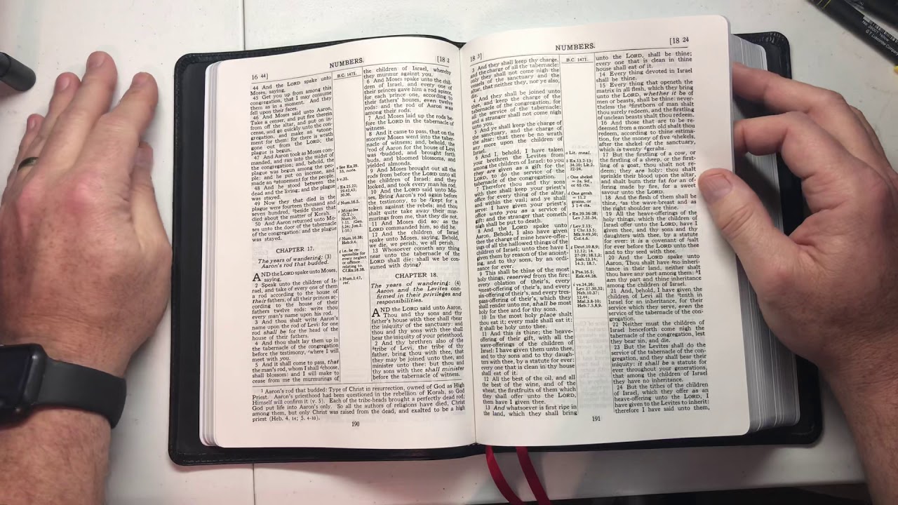 Review of 1917 Scofield Lamb Skin from Church Bible Publishers