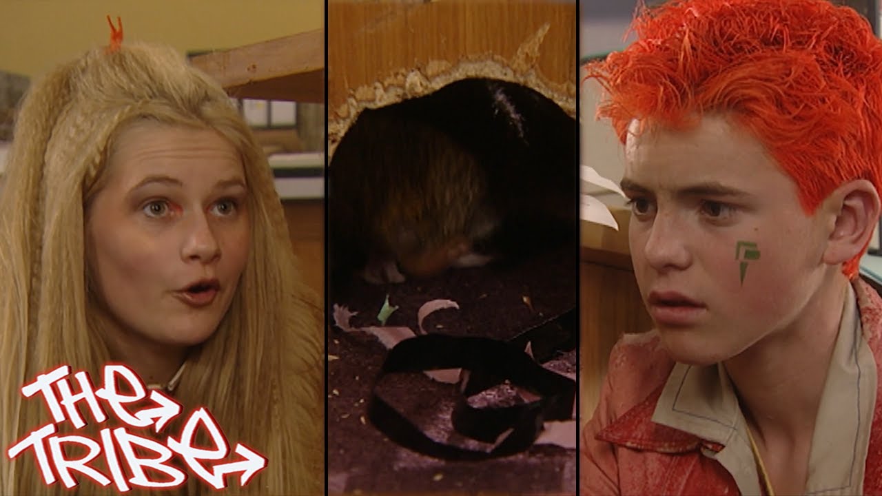 Ellie and Jack's Discovery - The Tribe