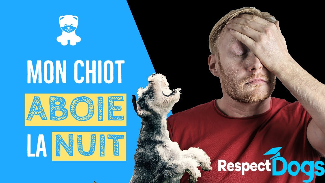 COMMENT FAIRE MON CHIOT PLEURE LA NUIT ?