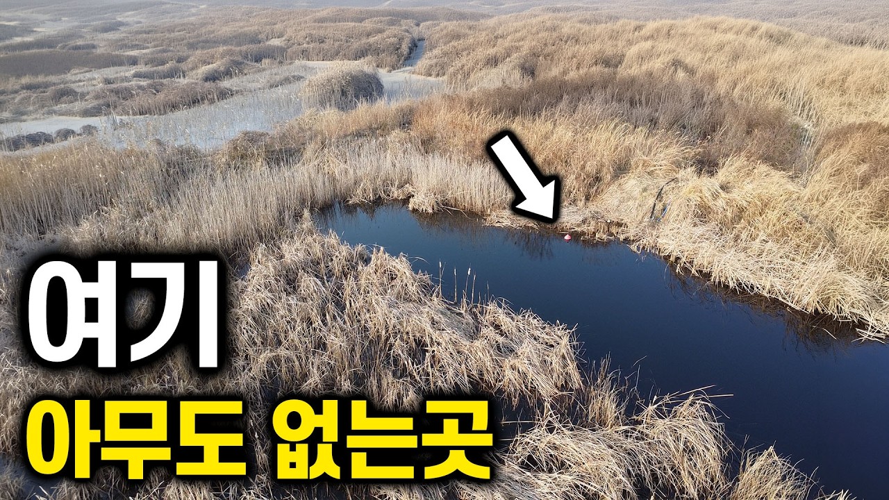 아무도 찾지 않는 그곳, 과연 무엇이 살까?