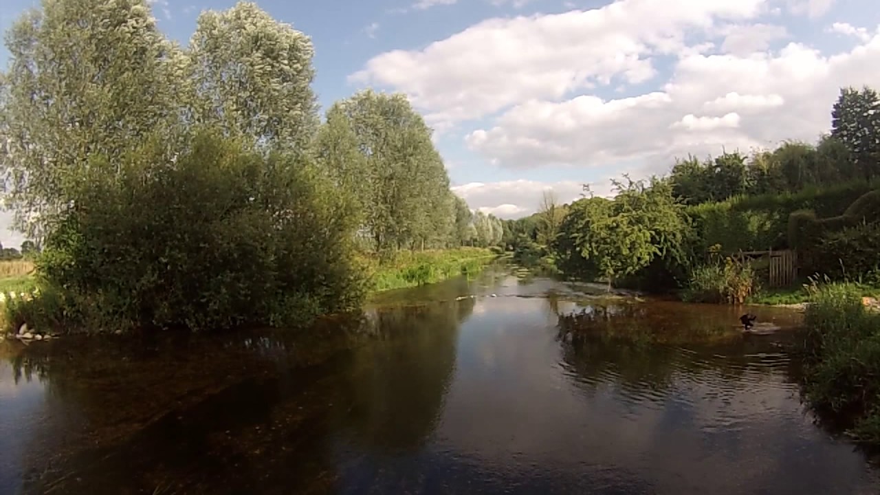 Spetisbury River Stour