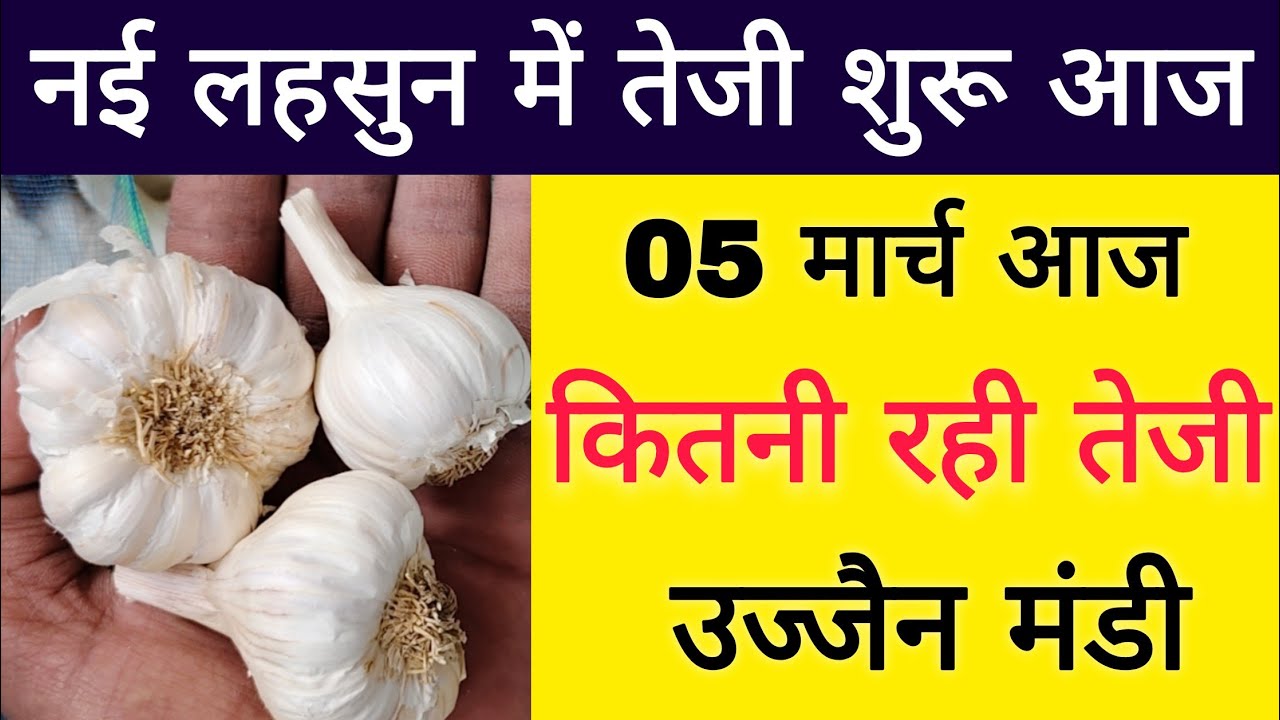 नई ऊटी लहसुन भाव l ujjain Mandi new lahsun ka bhav l 05 march 2026 l live bhav today 