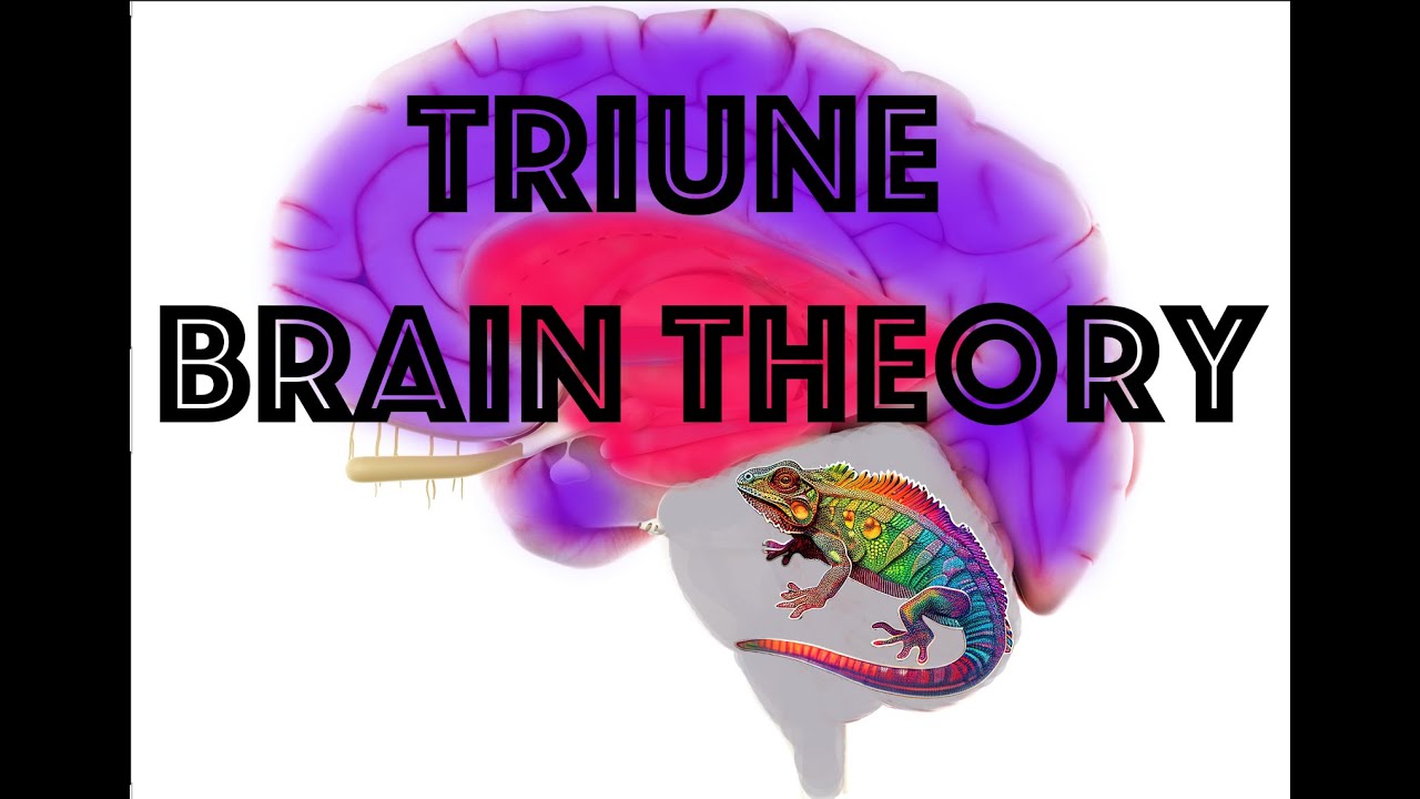 Triune Brain Theory