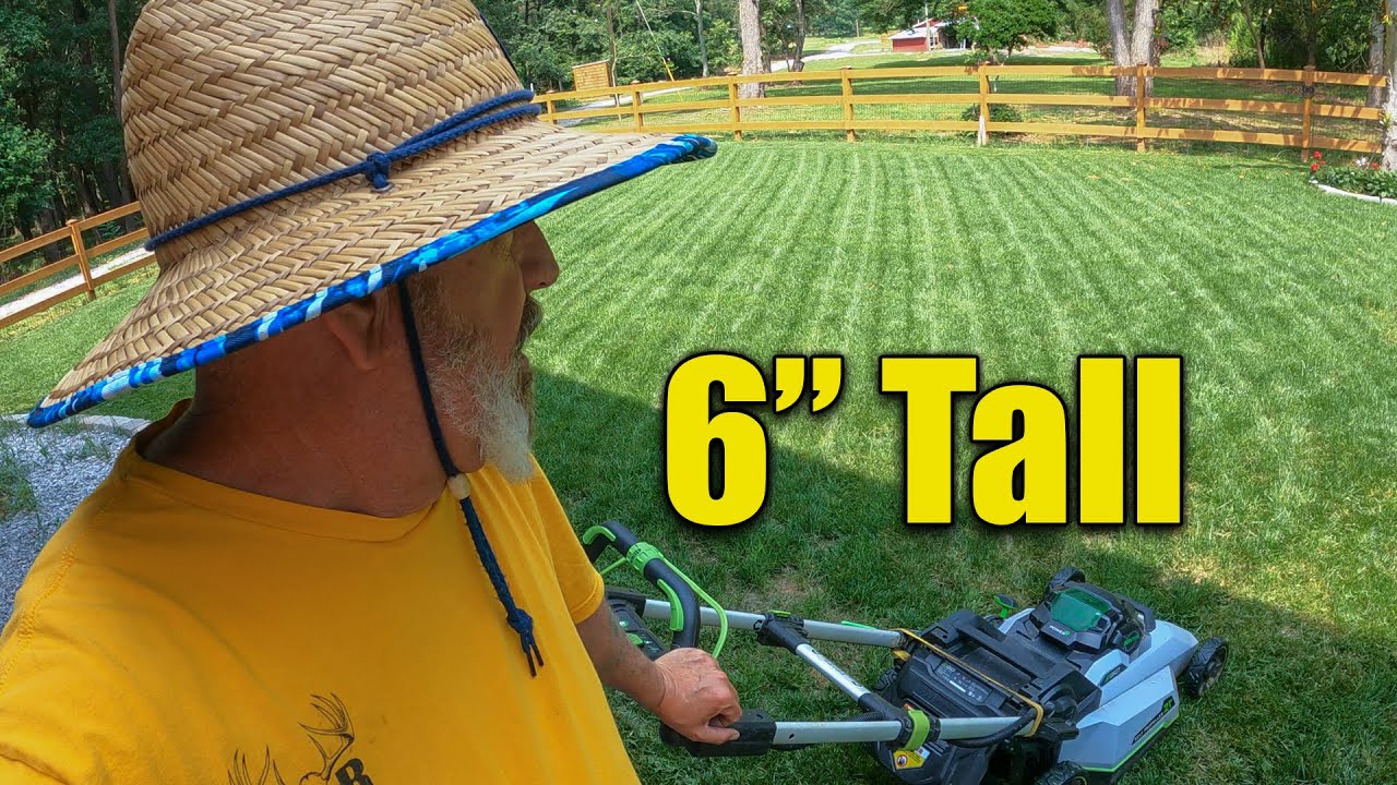 Too Much RAIN - Cutting Tall Grass in Stages