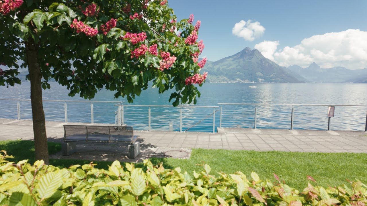 Lake Lucerne in 4K | Swiss Nature Cinematic Journey (24 fps cut)