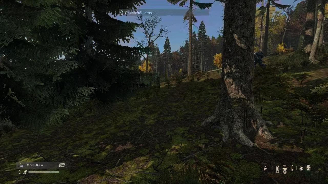 DayZ_20260226171414