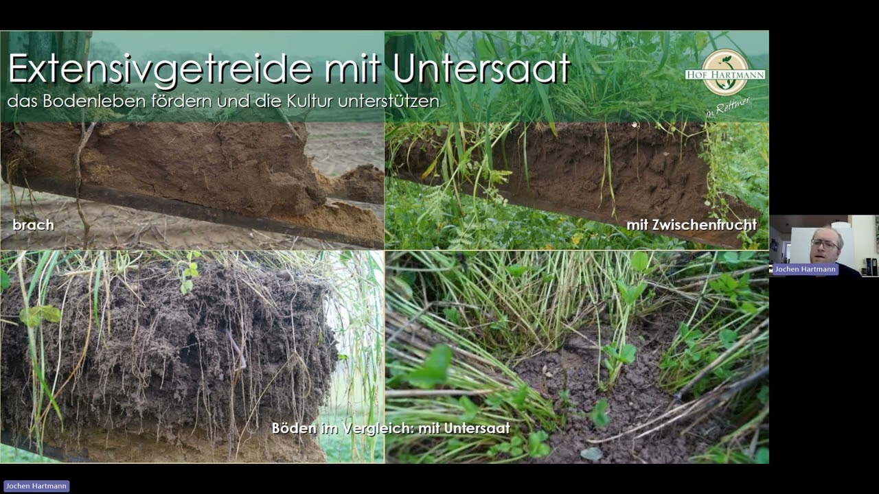 Umsetzung immergrüner Anbausysteme in der Praxis