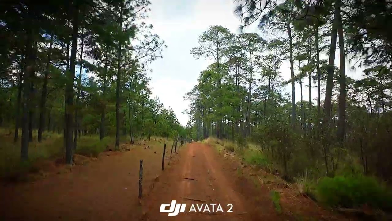 FPV Cortafuegos
