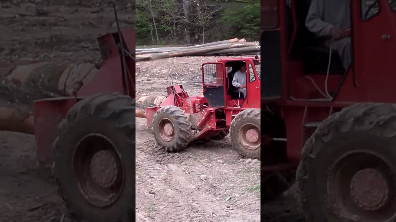 Exploatare S.C.FOREST.STANIJA.S.R.L (Patronul la volan)