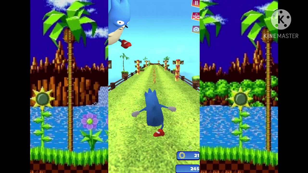 PLAYING GO SANIC GOO 