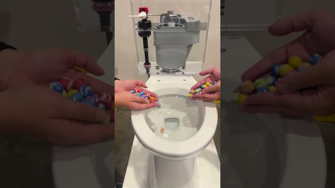 Will It Flush?