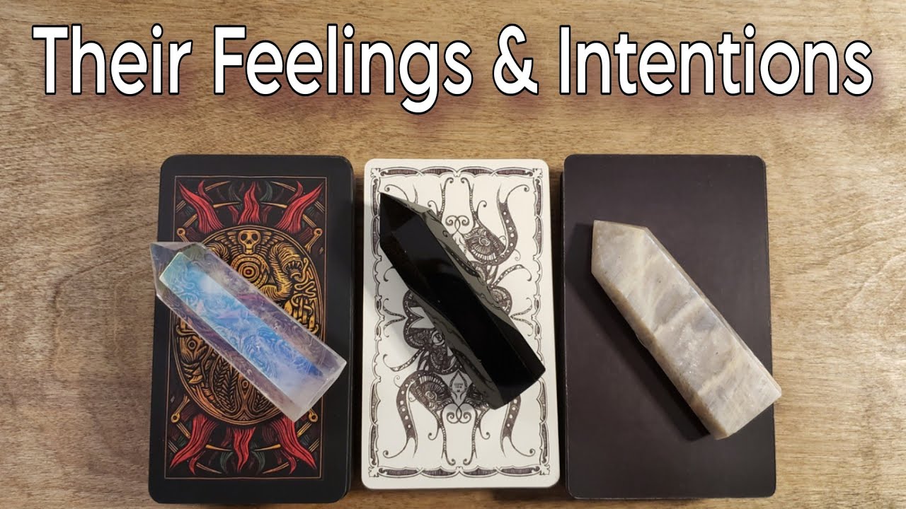 💕❤ Their Feelings & Intentions Towards You 💕❤ Pick A Card Love Reading 😻