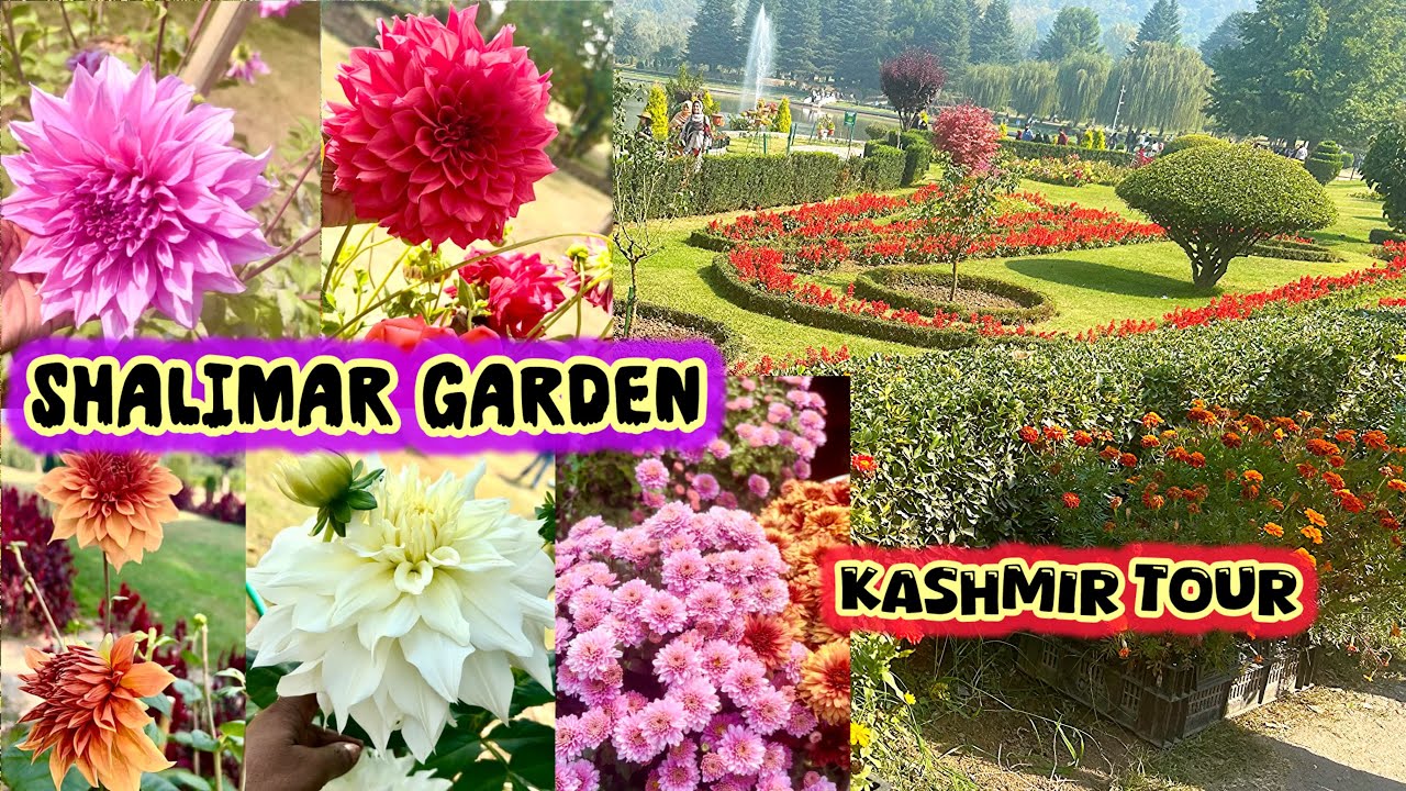 Shalimar Garden Kashmir/Mughal Shalimar Bagh Srinagar/Nishat Bagh Srinagar/ ഷാലിമാർ ഗാർഡൻ കാഷ്മീർ