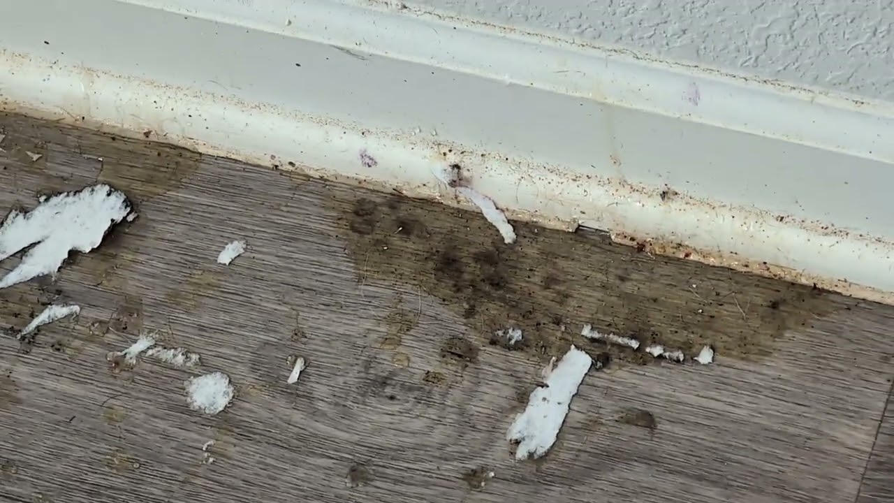 Floor damage example