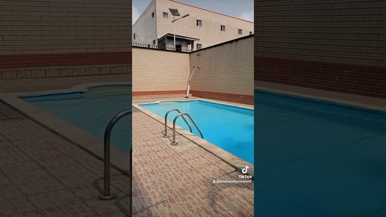 Birds swimming pool