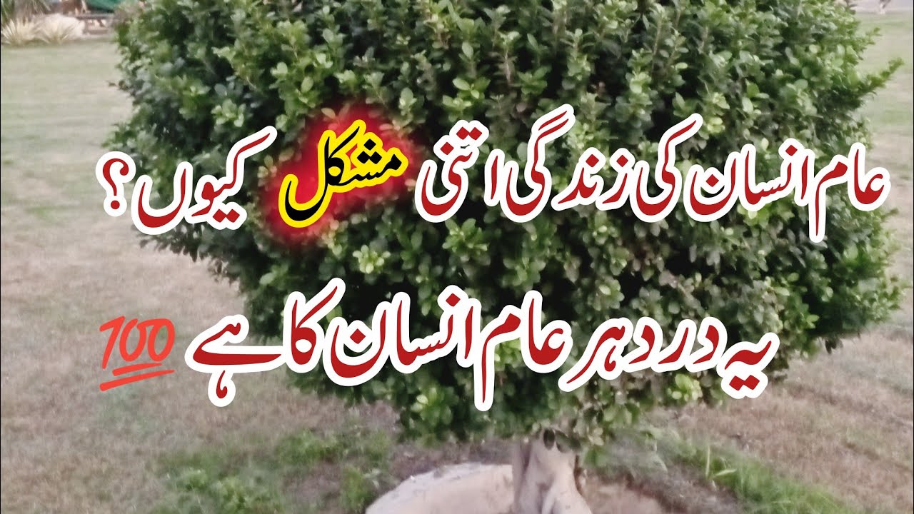 Why Life Feels So Hard for Ordinary People | Our Naimat Family