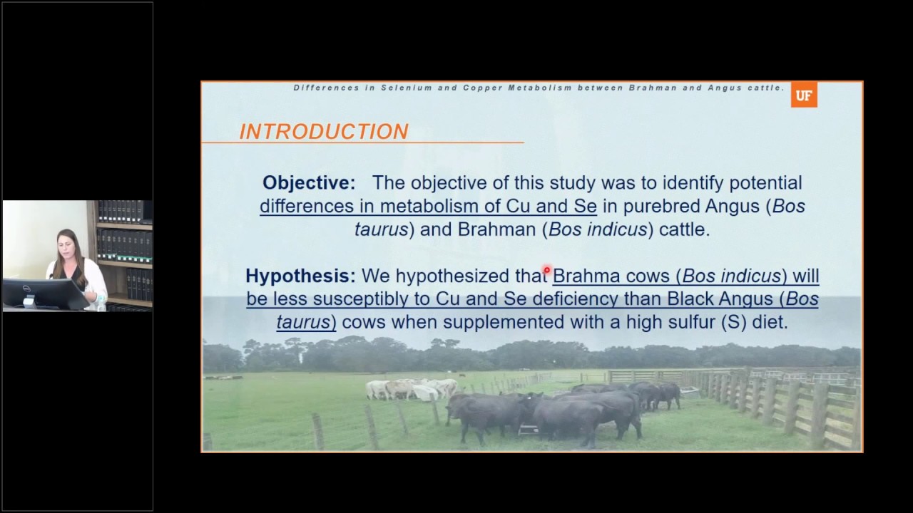 Различия в метаболизме селена и меди у крупного рогатого скота пород Брахман и Ангус.