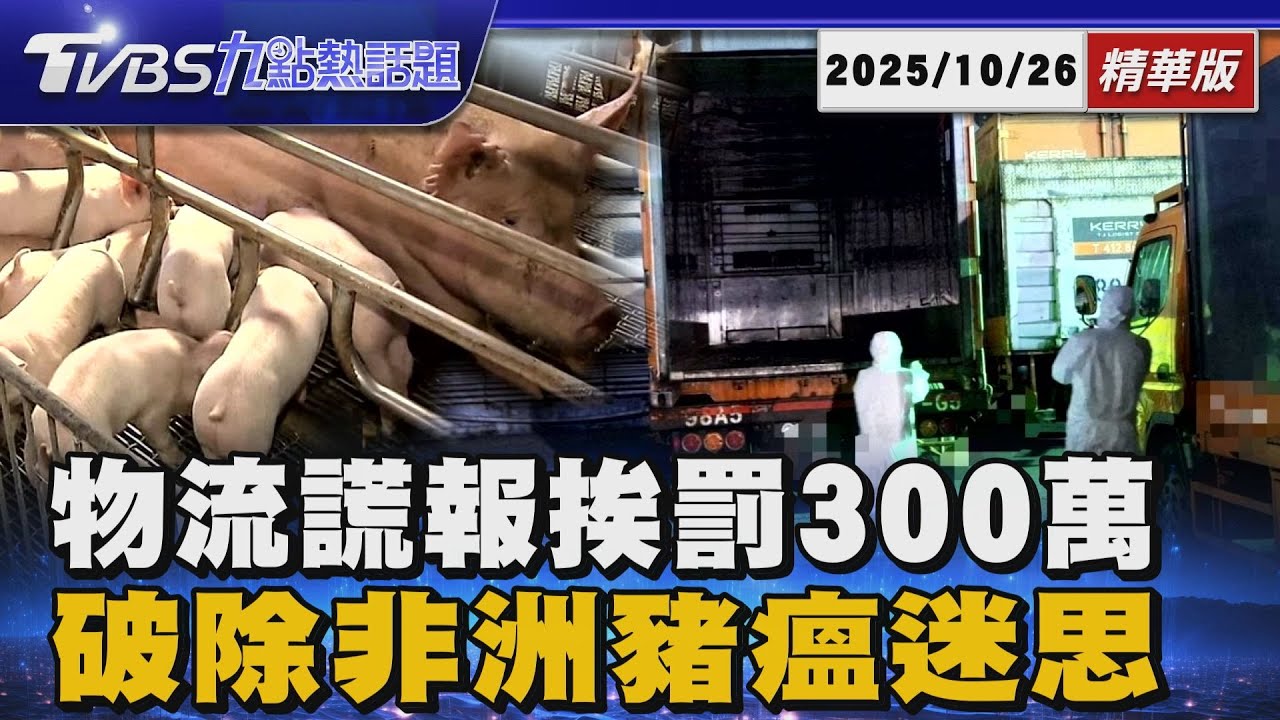 物流疑運「豬瘟肉」謊報避查挨罰3百萬 非洲豬瘟懶人包 破除三大迷思【TVBS新聞精華】20251026 @TVBSNEWS01
