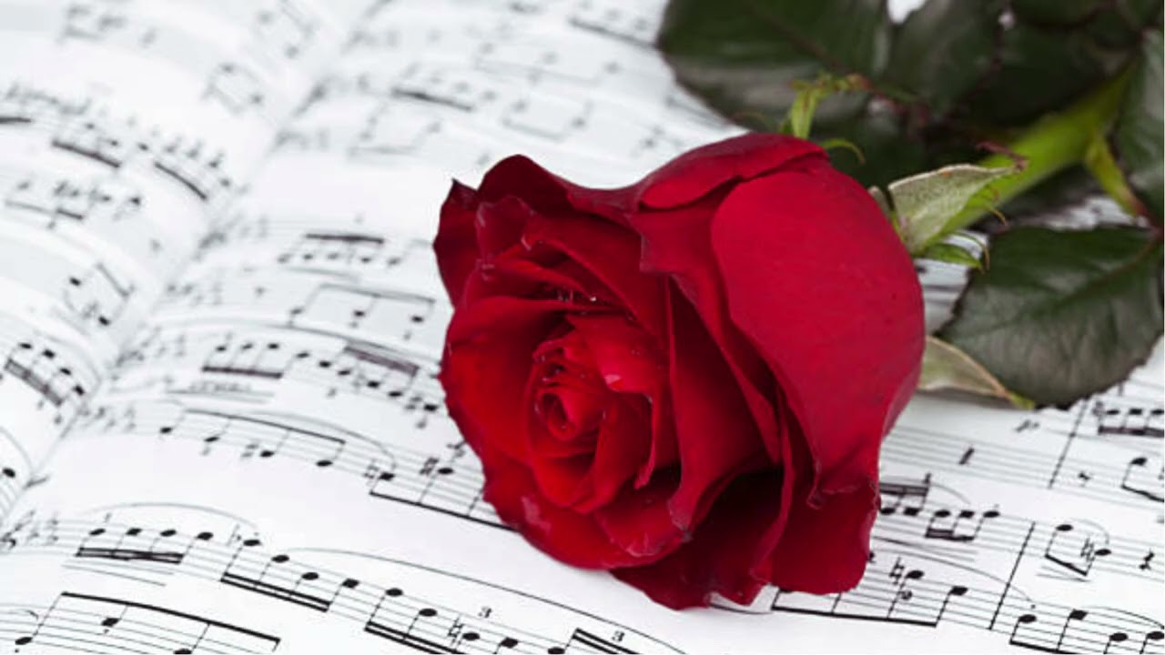 .....love songs....english version.......