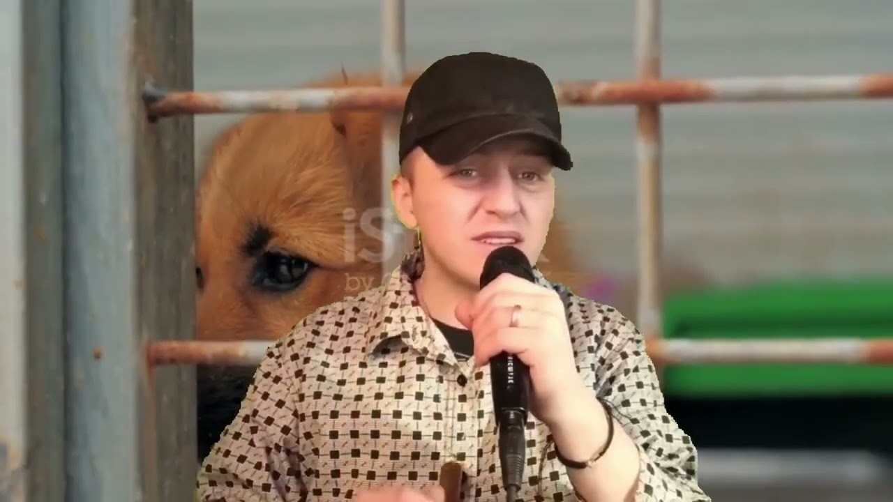 MKBG Świat zza Krat (Tekst Betti Gerero )