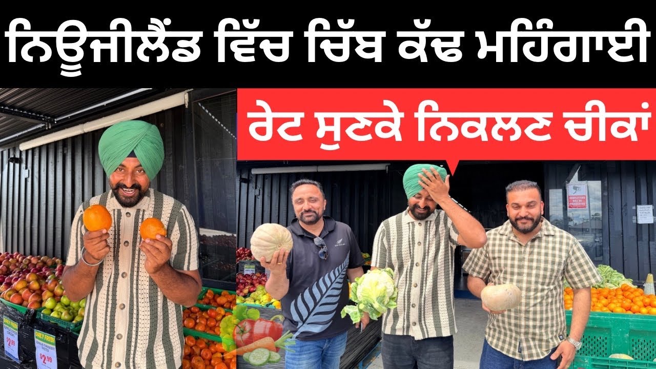 ਇੰਨਾ ਮਹਿੰਗਾ ਸਮਾਨ ਤਾਂ ਕਦੇ ਨੀ ਦੇਖਿਆ 🇳🇿 Grocery Newzealand  | Punjabi Travel Couple | Ripan Khushi