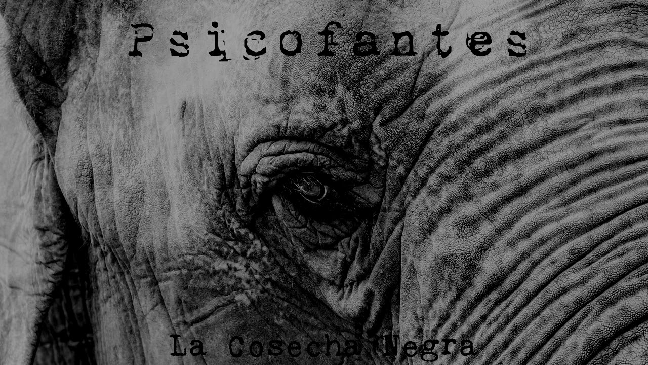 Psicofantes - La Cosecha Negra (Disco Completo 2018)
