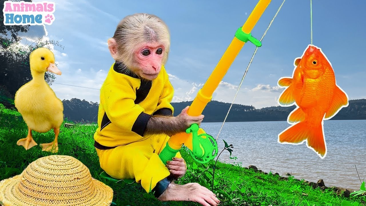 BiBi farmers build boats and rowing boats to pick fruits