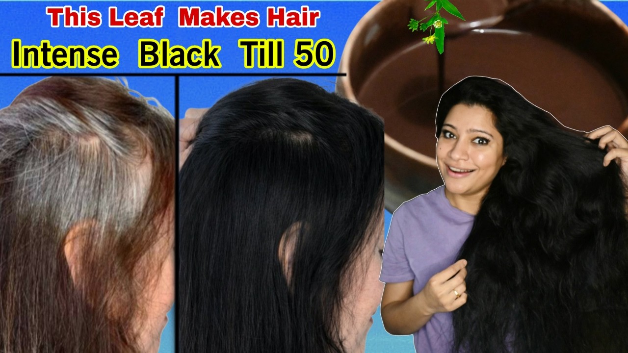 This Leaf Makes Hair Intense Black Naturally Without Dye, Indigo, Henna ।Garima Singh ।