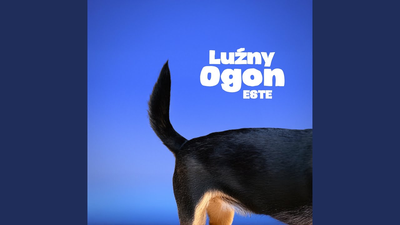 Luźny Ogon