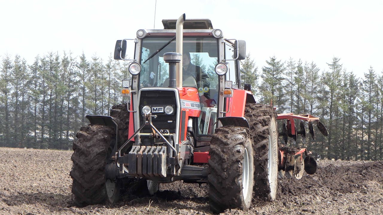 Massey Ferguson 2725 - Cultivating | Field Work 2024