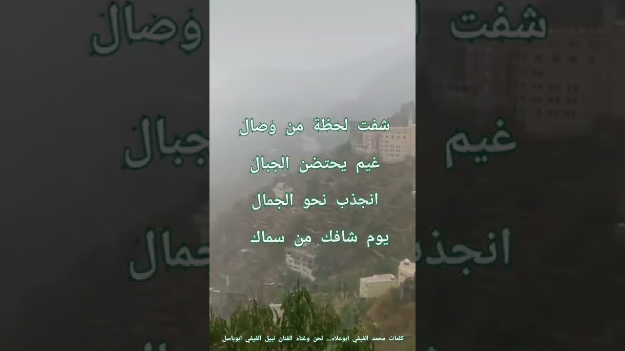 ديرتي فيفا سلام
