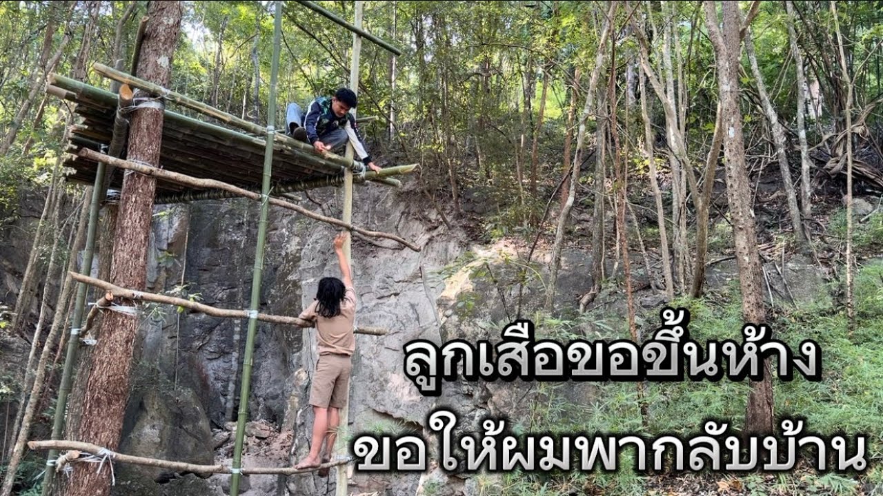 ￼นั่งห้างกลางป่าลึก ลูกเสือเดินลงป่าขอขึ้นห้าง บอกให้ผมพากลับบ้านที จะเชื่อดีไหม เป็นสมิงหรือเปล่า