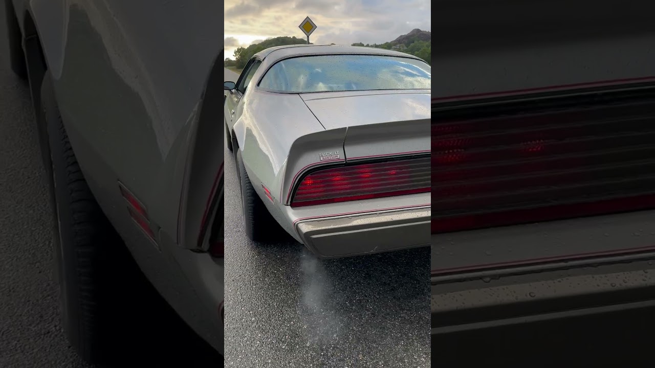 1979 Trans Am 6.6 10th Anniversary Limited Edition