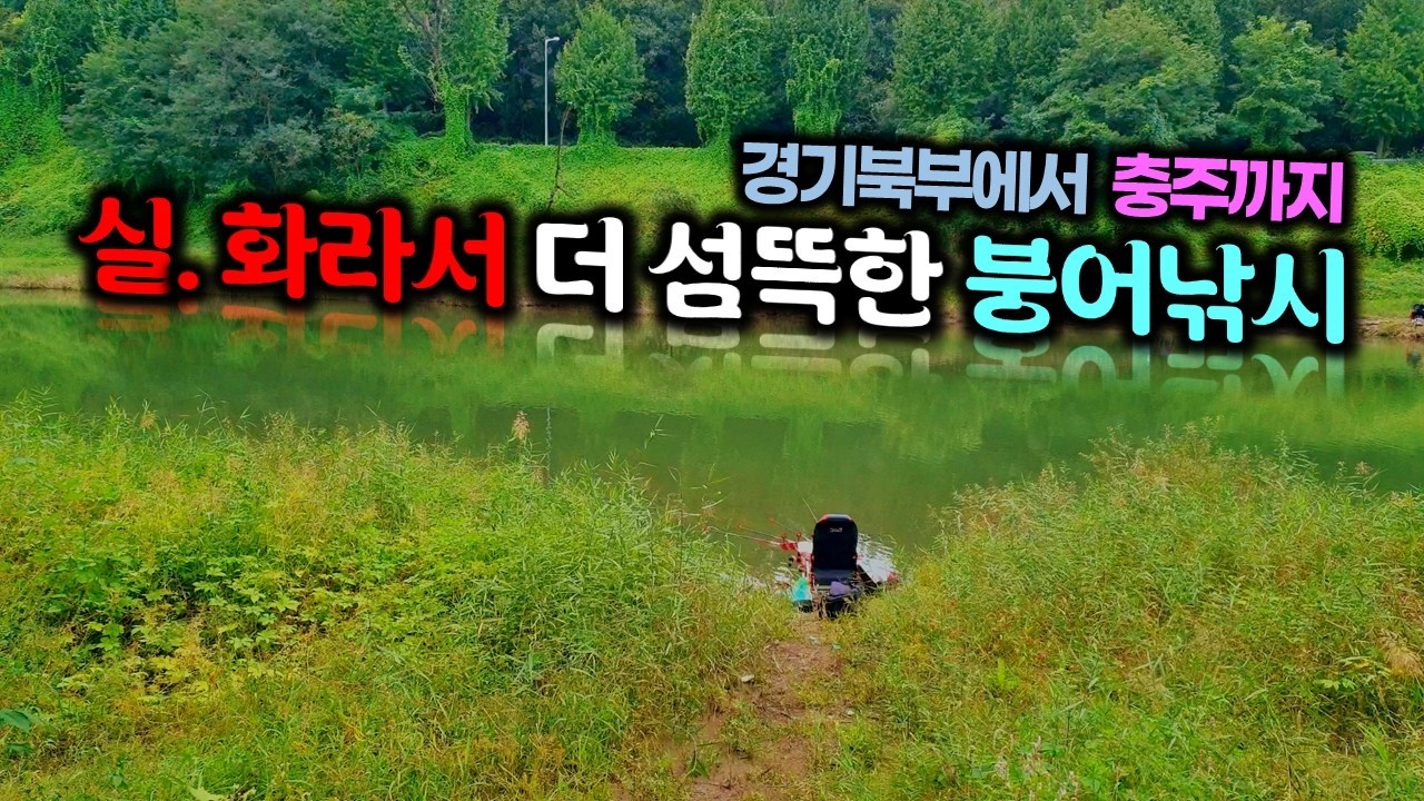 낚시, 캠핑, 차박, 화장실, 주차까지 완벽한 곳으로 4짜붕어 만나러 경기북부에서 충주까지 무료낚시터 탐방낚시 분명 붕어 입질이었는데... 건져보니 이 녀석이?