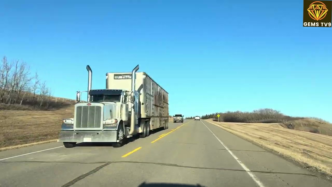 Edmonton to vermilion early in the morning 