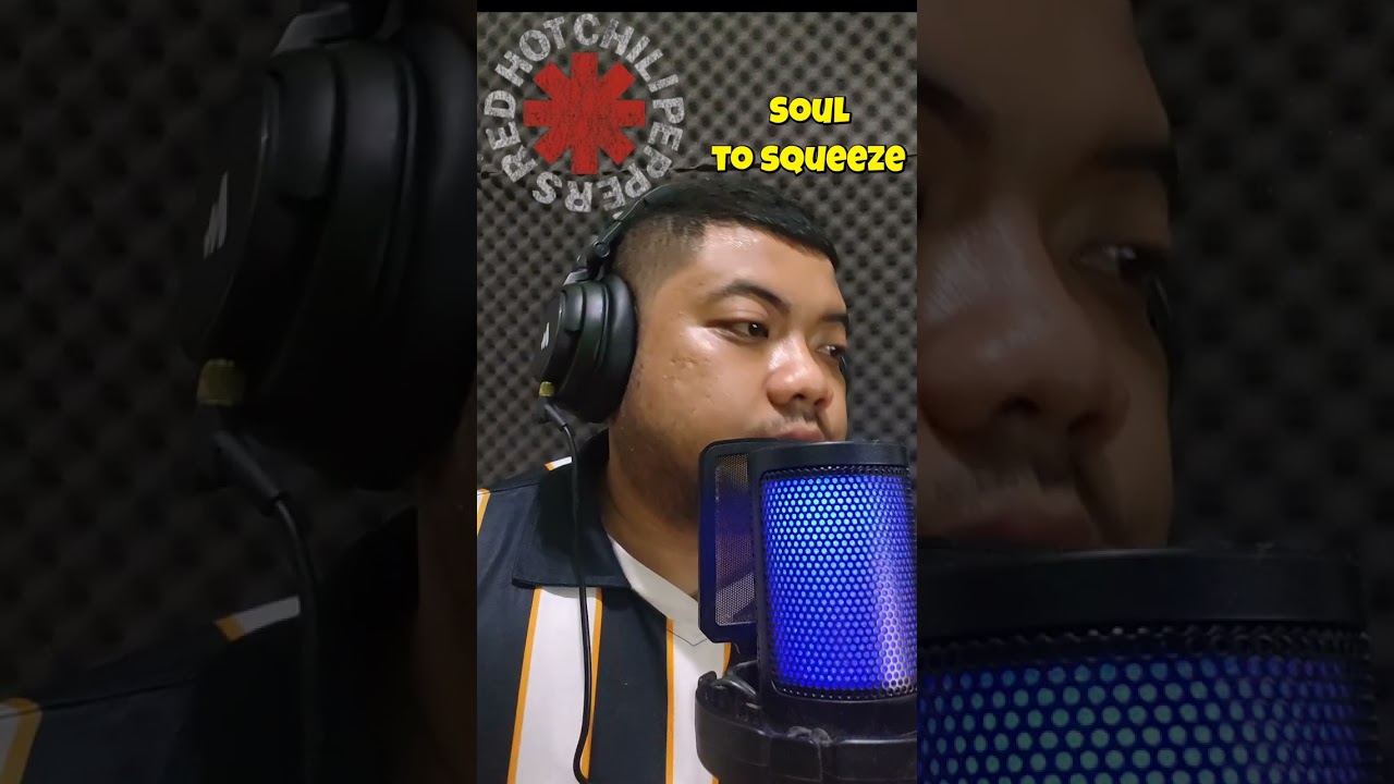 Red Hot Chili Peppers - Soul To Squeeze (Cover) 